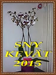 SNY Kevät 2015