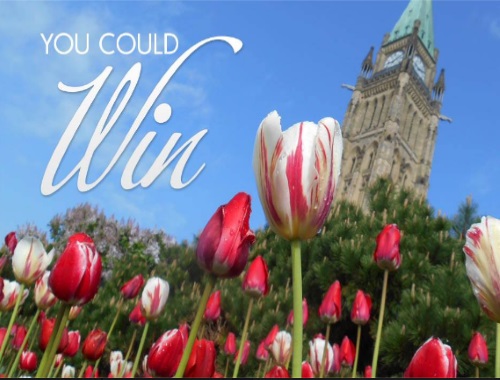 Home Hardware Canada 150 Tulip Giveaway Home Hardware Canada 150 Tulip Giveaway