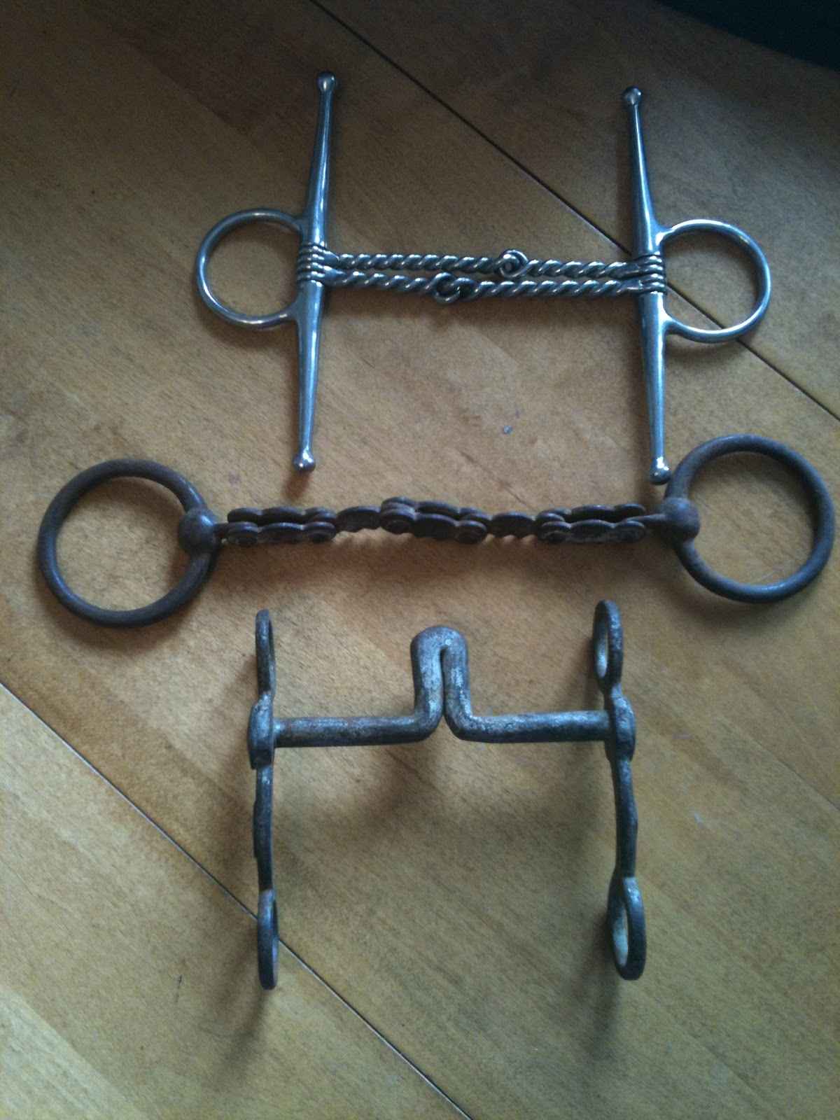 KnP Training: Bits and Bitting Part 3- Resistance- The root of all bits