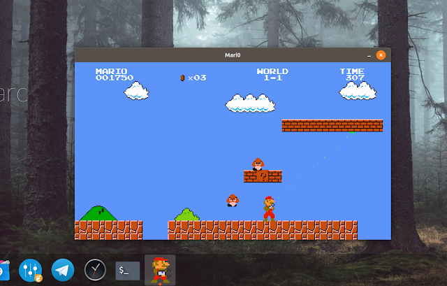 install Mario on Ubuntu