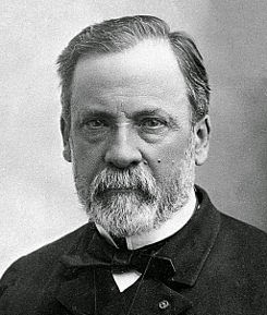 investigacion Louis Pasteur