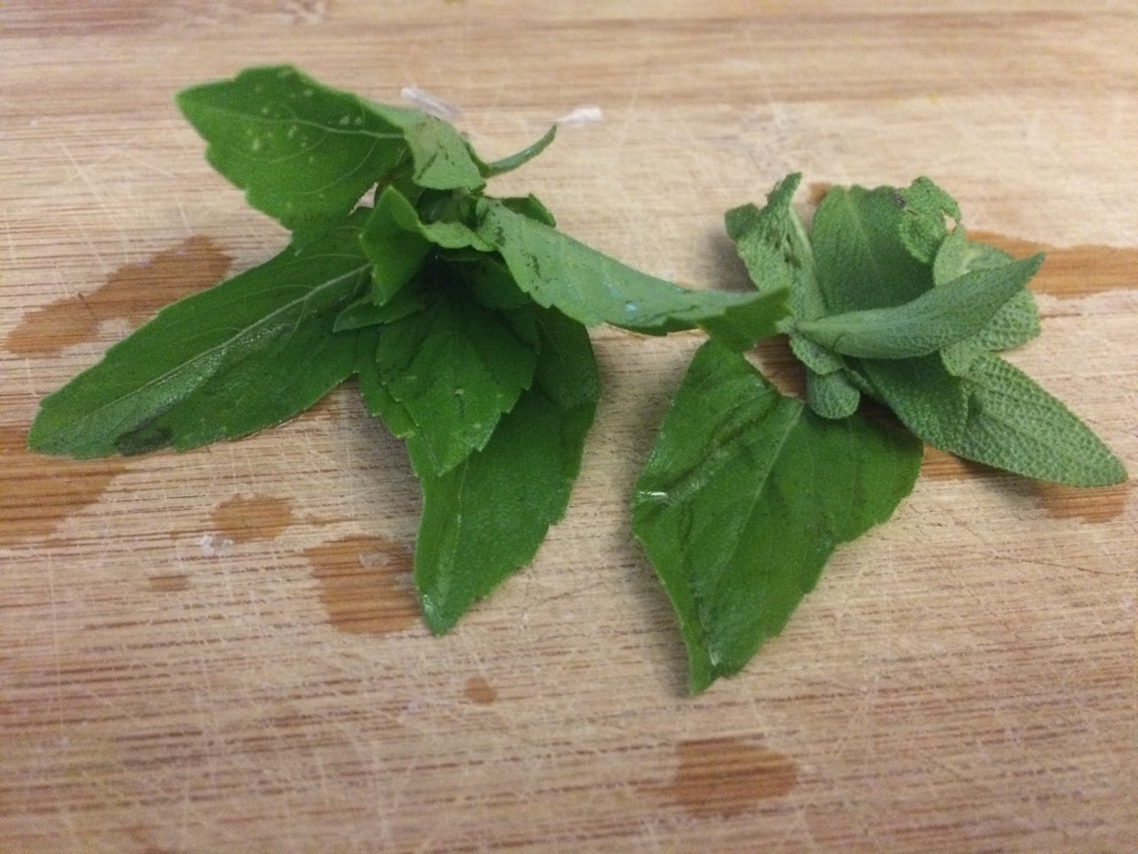 Kevin Songer's Diet for Aorta, Cardiovascular and Gallbladder Health