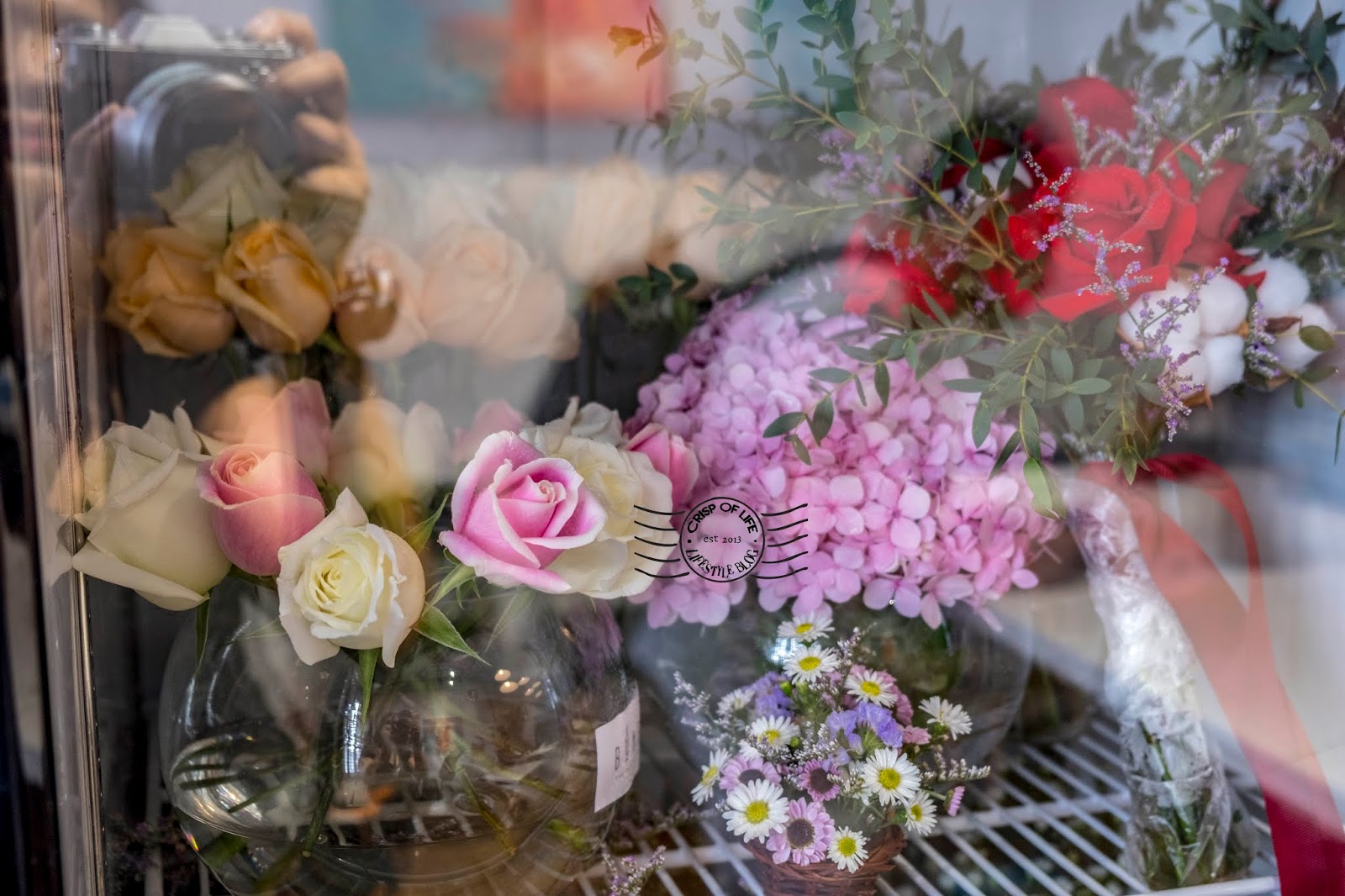 Bunga Penang Florist Penang Road, Crisp of Life