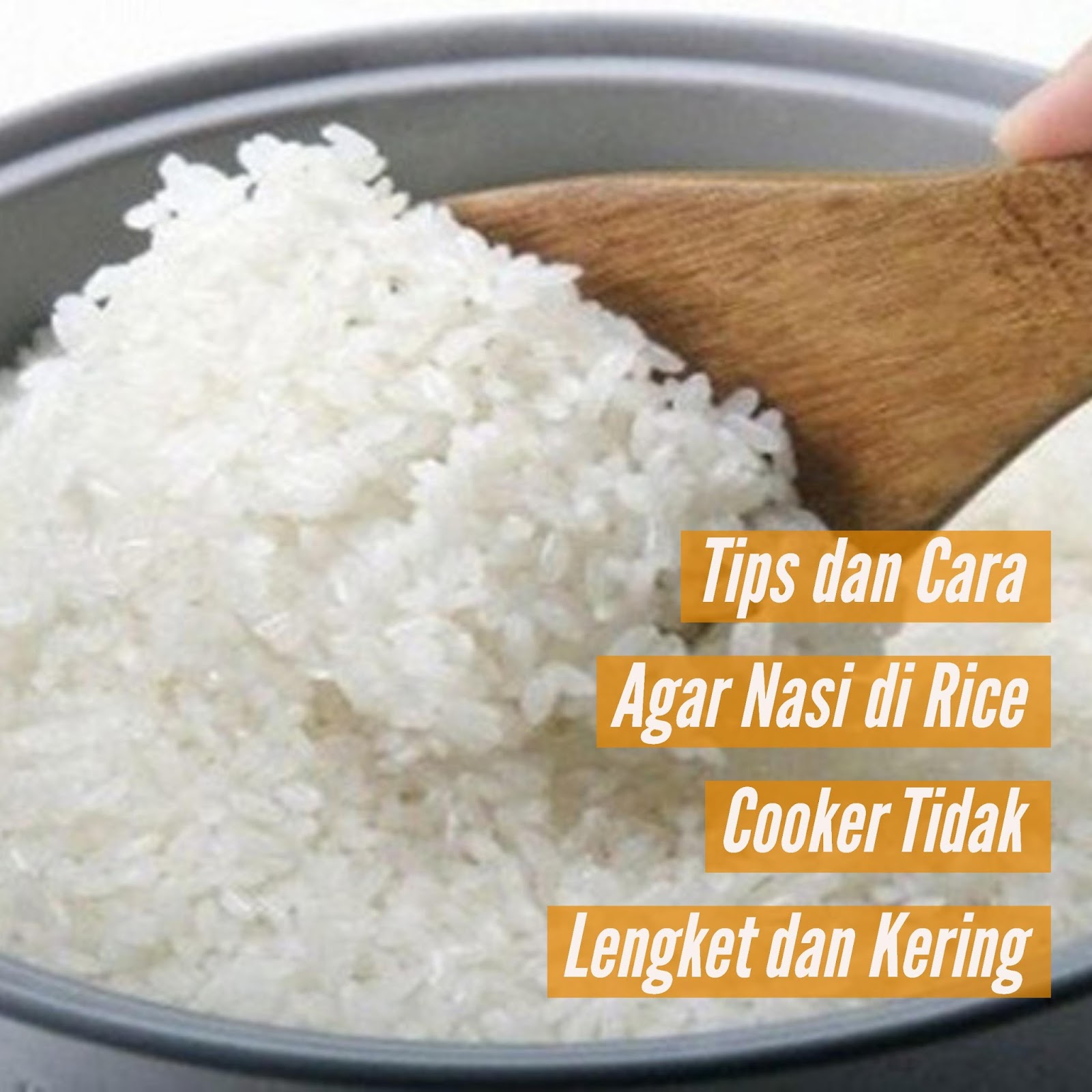 Tips dan Cara Agar Nasi di Rice Cooker Tidak Lengket dan Tips dan Cara Agar Nasi di Rice Cooker Tidak Lengket dan