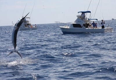 Deep Sea Fishing in Cabo San Lucas