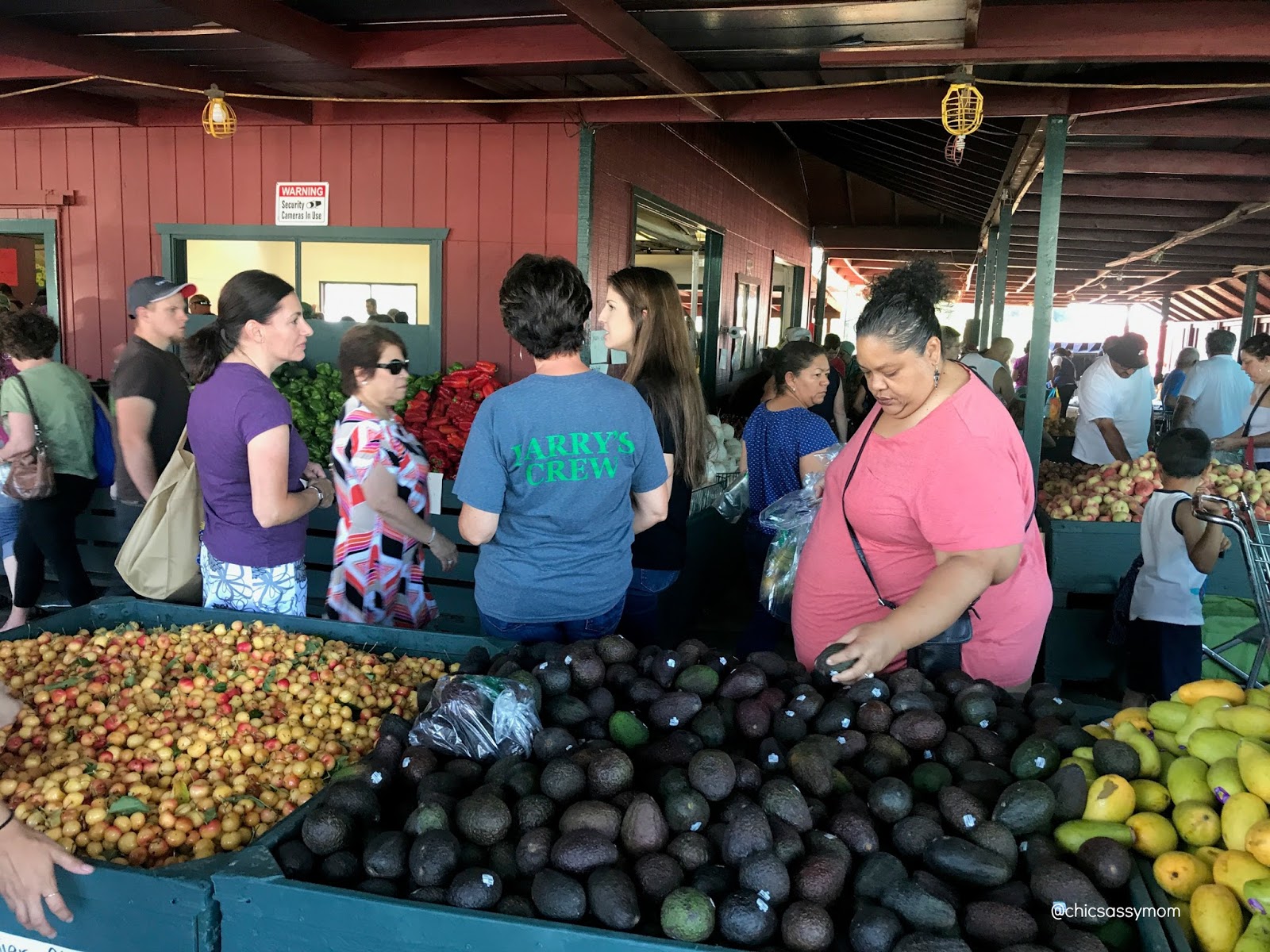 ChicSassyMomTravels Larry's Produce Market Day