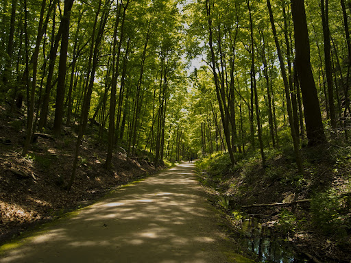 The Housatonic Railbed Trail, Monroe Connecticut