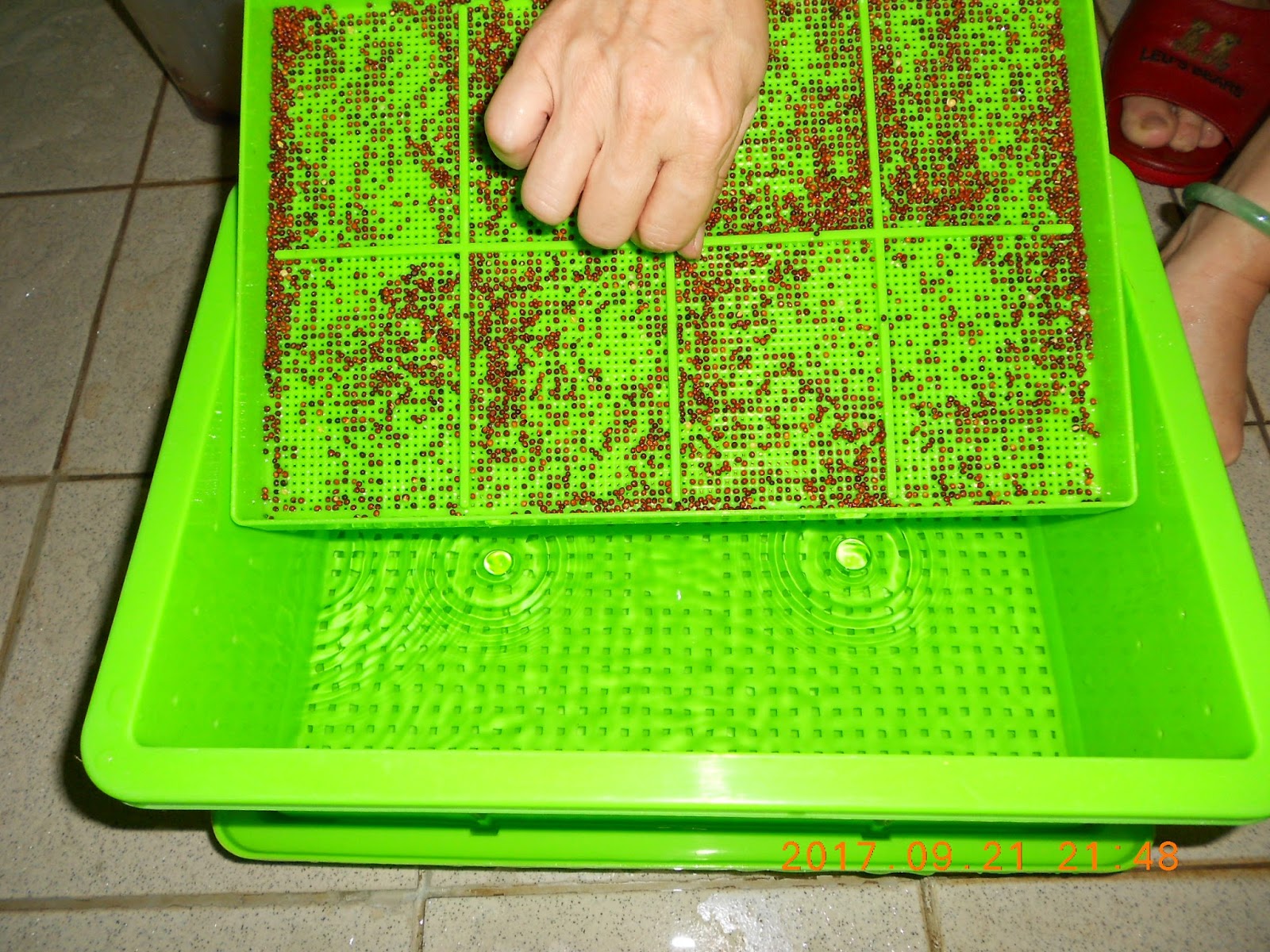 �����R,�����R��,���Ⱚ�R��,������ŵ�,�����R��i,�����R����i,�����ŵ��ܦ�,�����ŵ浵���ߵ�,�����R��