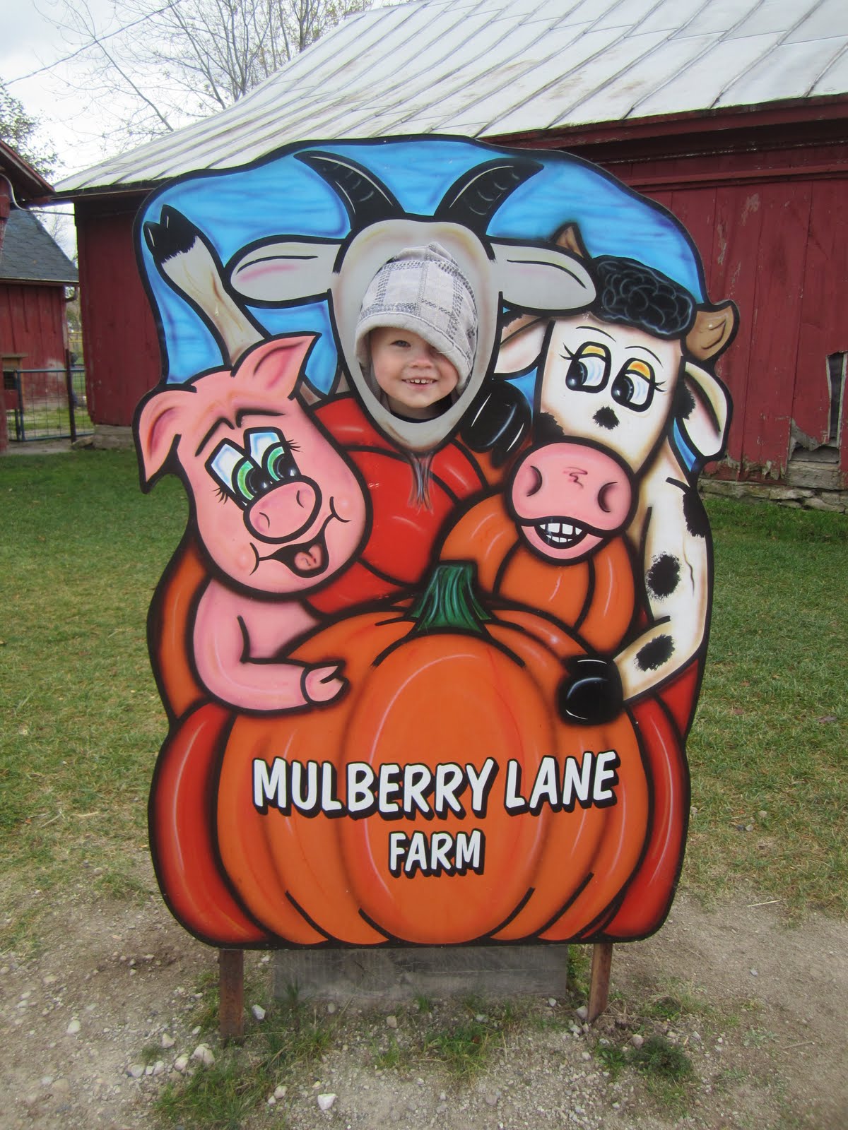 The Morris Family Mulberry Lane Farm