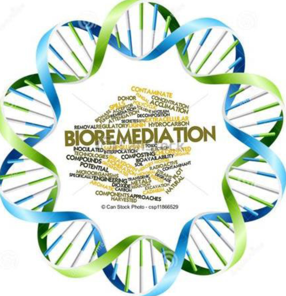 bioremediation