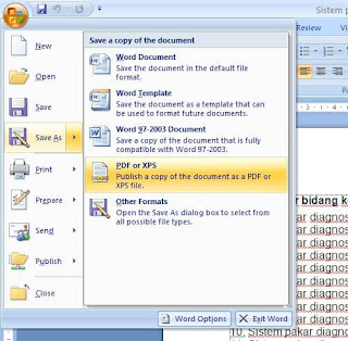 Aplikasi Converter Word 2007, 2010 To PDF GRATIS