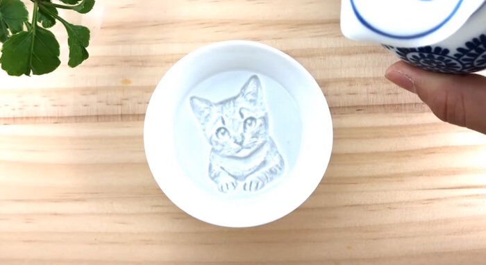 After Pouring Soy Sauce Into These Plates, Beautiful Hidden Paintings Are Revealed