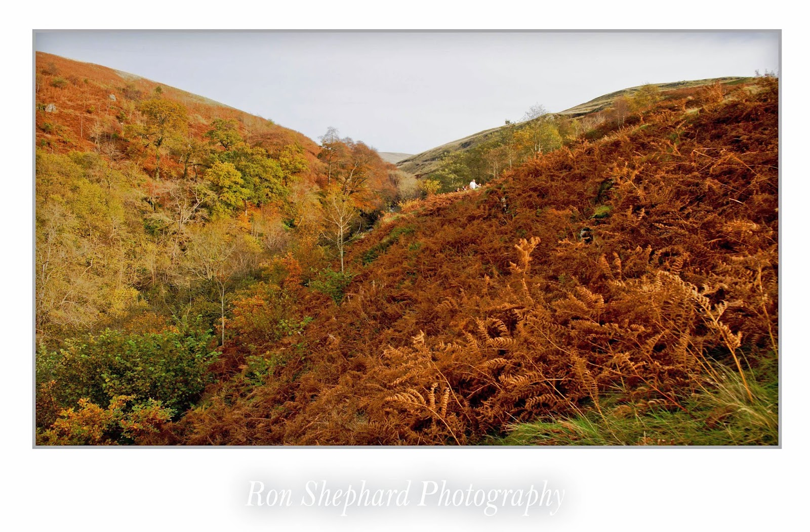 Campsie Photographs October 2014