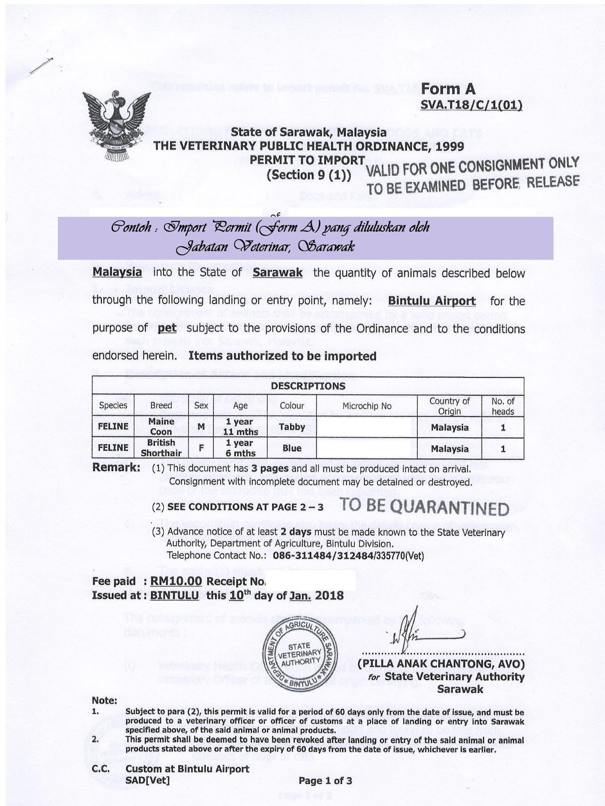 Setiap Langkah Kecil Yang Kuambil Hari Ini Adalah Sejarah Besar Pada Keesokan Harinya January 2018