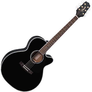 guitarra electroacustica Takamine EG541DLX