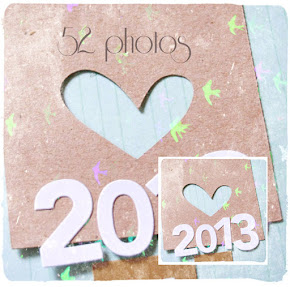 52 photos pour 2013