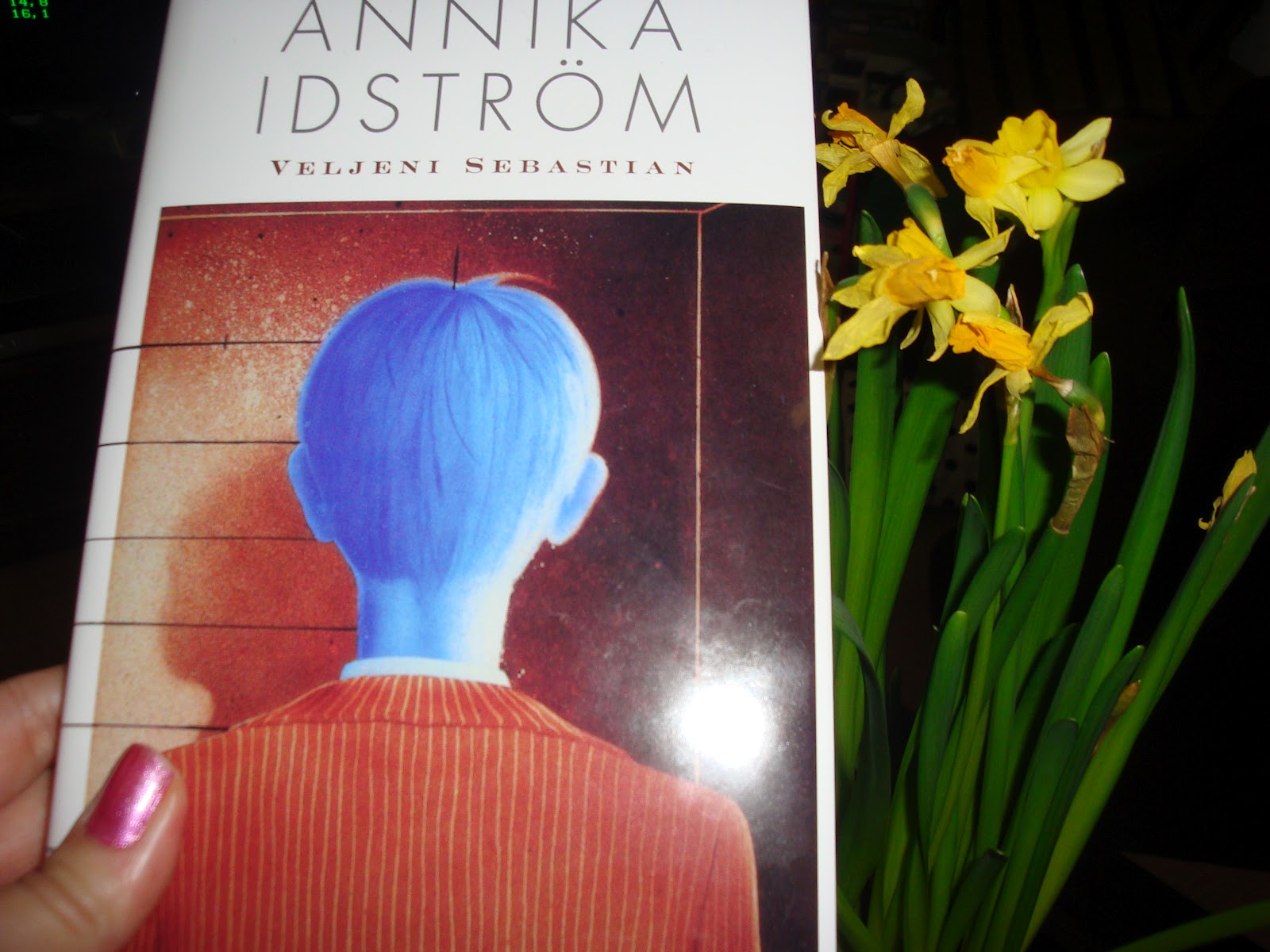 Luettua Veljeni Sebastian / Annika Idström