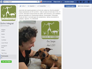 BICHO INTEGRAL Facebook Page