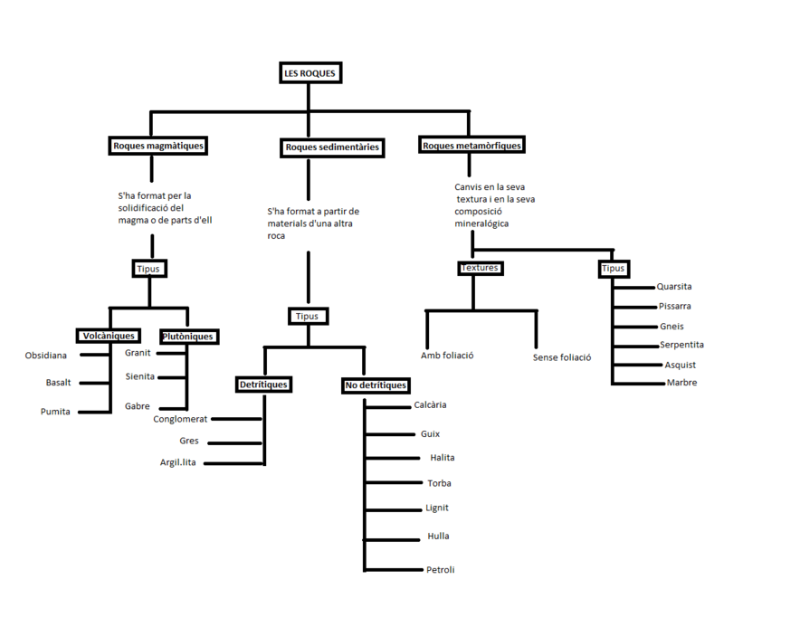 biologia i geologia 4t eso Blanca Dona Desdoblament 2 Classificació