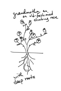 Teaching Authors 6 Children S Authors Who Also Teach Writing