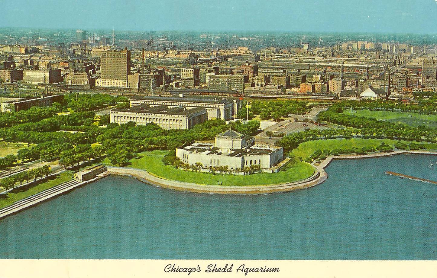 CHUCKMAN'S COLLECTION (CHICAGO POSTCARDS) VOLUME 07 POSTCARD CHICAGO