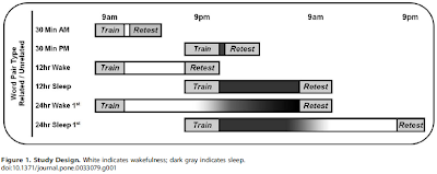 White indicates wakefulness; dark gray indicates sleep. Image: Memory for Semantically Related and Unrelated Declarative Information: The Benefit of Sleep, the Cost of Wake, Jessica D. Payne et al, Plos One