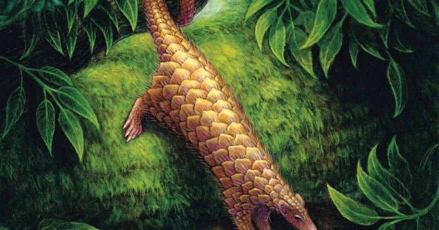 Species New to Science: [PaleoMammalogy • 2016] Skeletal Anatomy of the