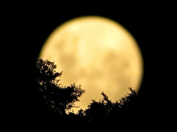 Claude Debussy / Paul Verlaine | Clair de Lune, 1869 | Tutt'Art ...