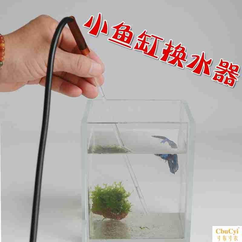 How to Find Betta Fish Bowl with Plant Image How to Find Betta Fish Bowl with Plant