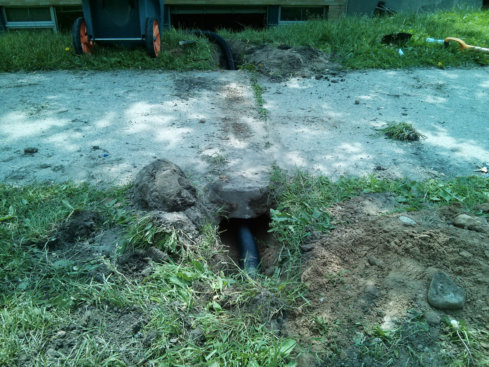 to the Glendale School Garden!