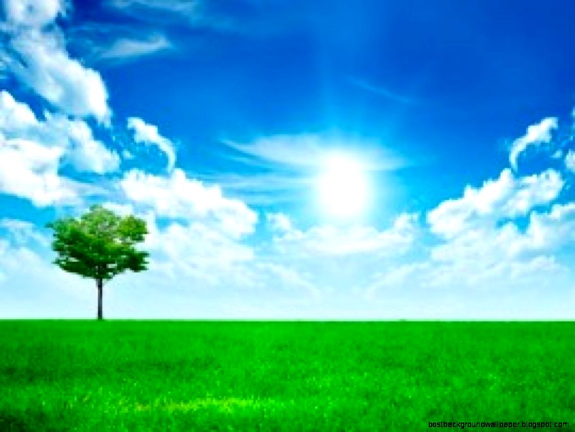 Computer Wallpaper Desktop Background Full Size   HD Wallpapers