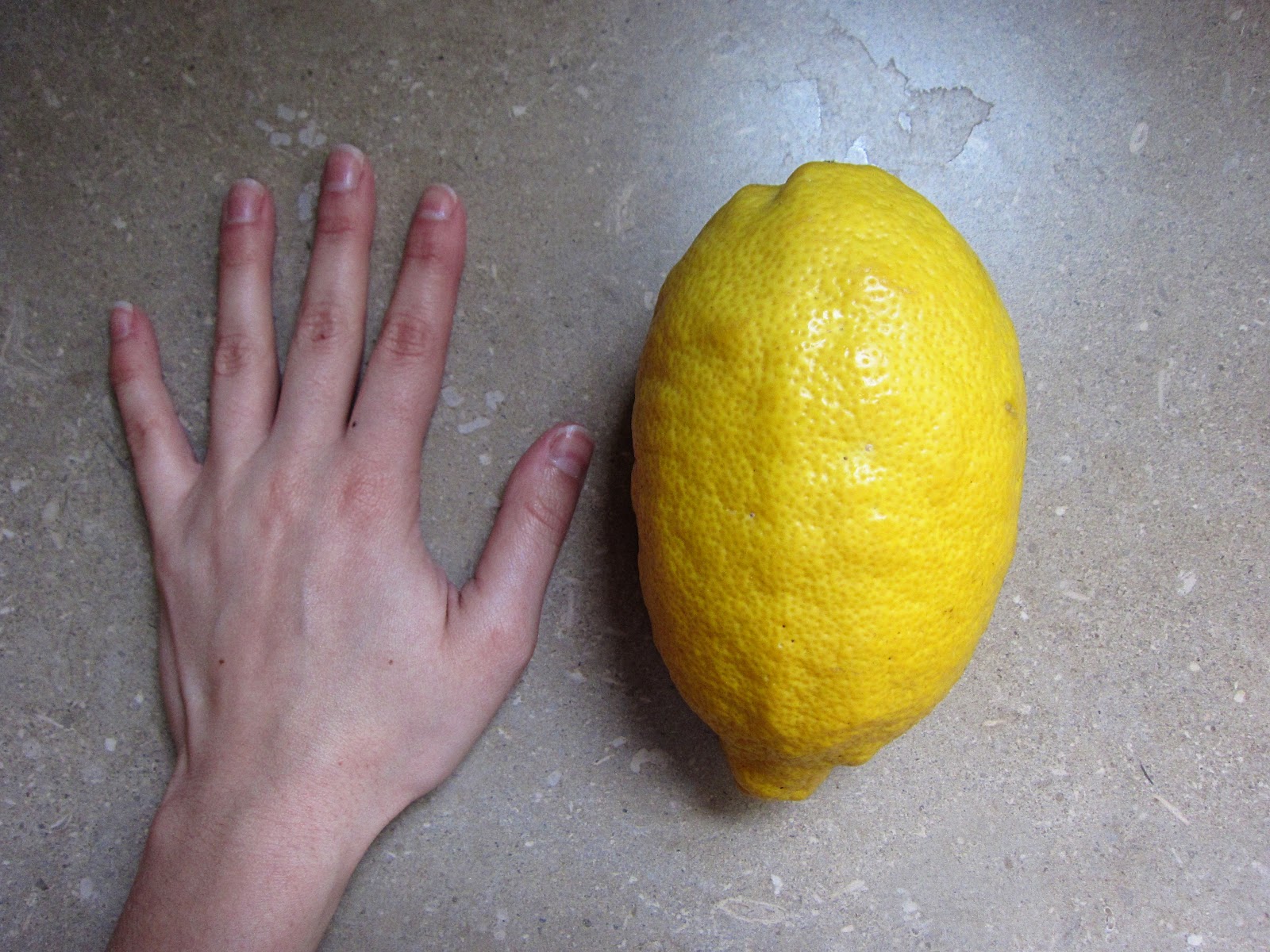 The Saucy Kitchen If life gives you (giant) lemons...