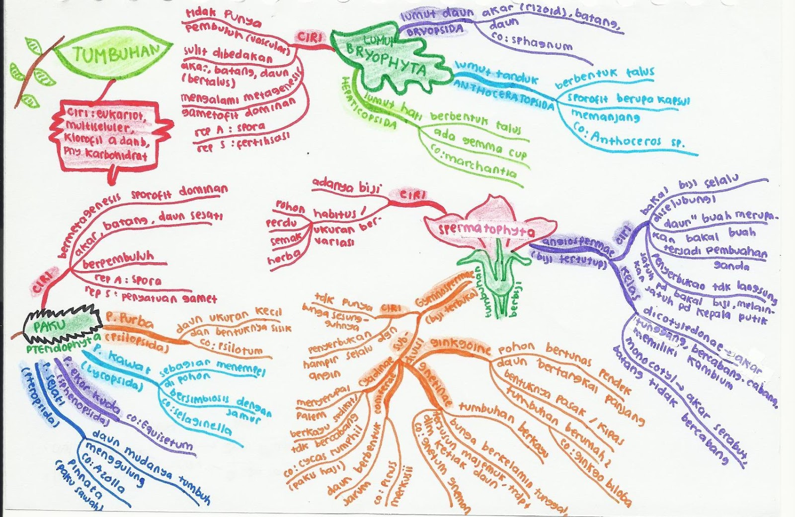 районы карты текст