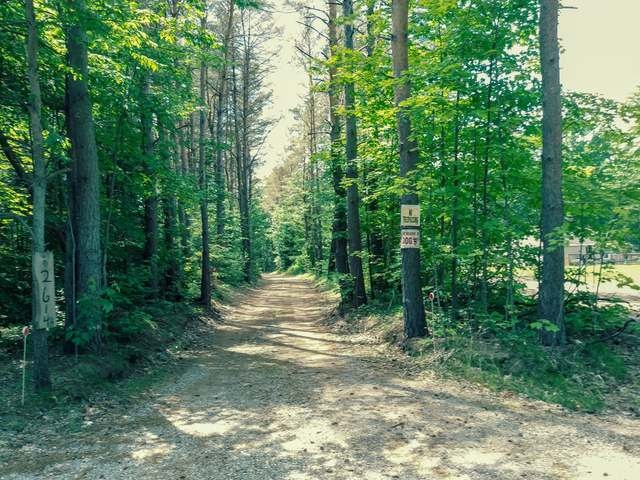 H2ome The Blog Of Homewaters Real Estate Wooded Retreat In