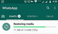 Restoring WhatsApp Media files