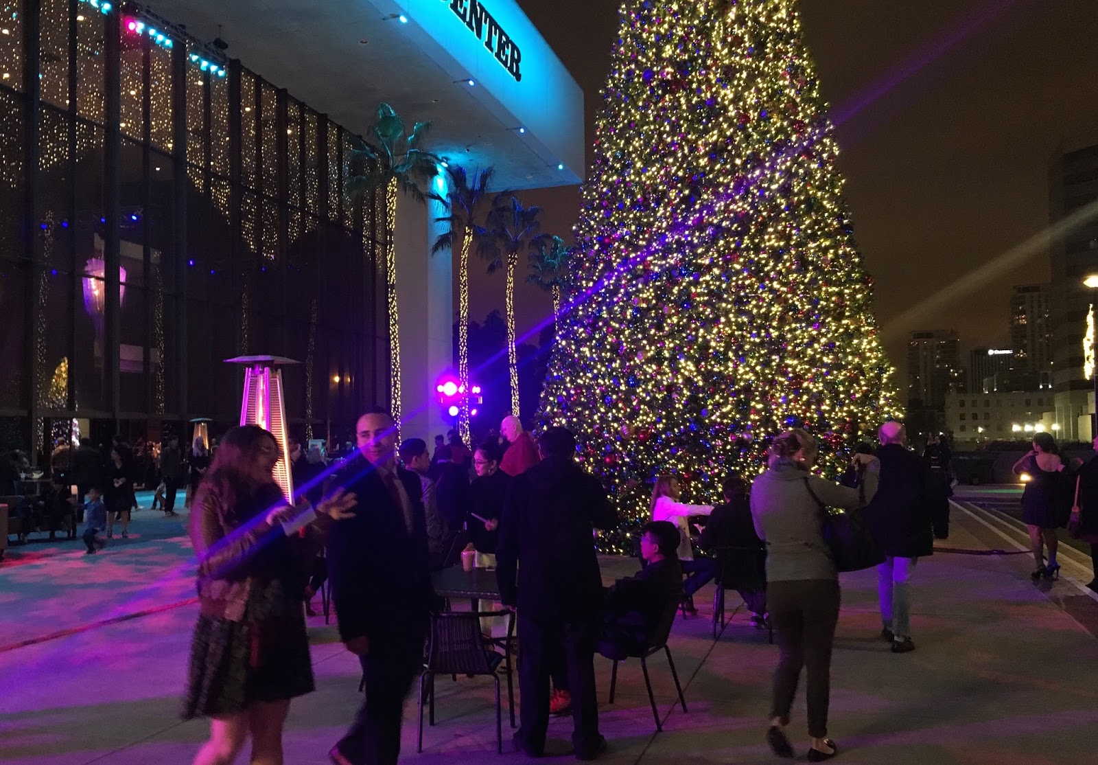 How we do Christmas in LA The Active Habitat