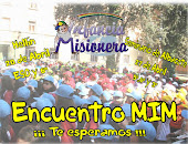 Fotos del Encuentro MIM 2013