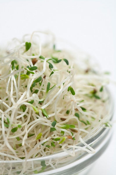 Hierbas para la Artritis: Guía Completa