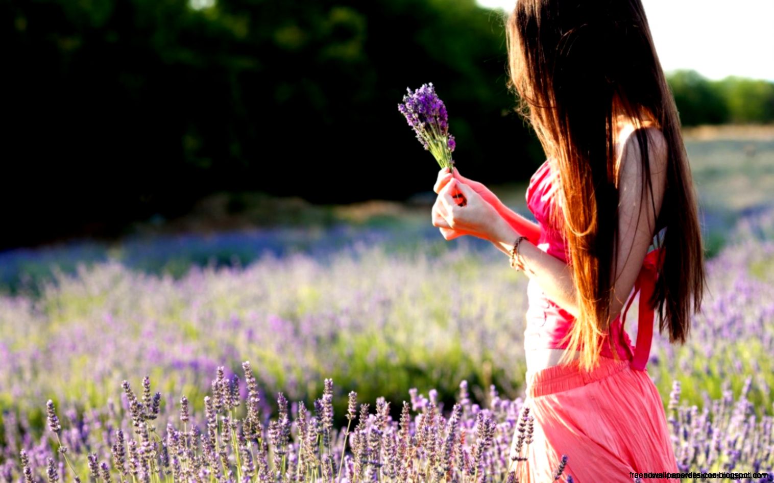 Mood Macro Flowers Lavender Purple Field Girl Legs Dress Hd