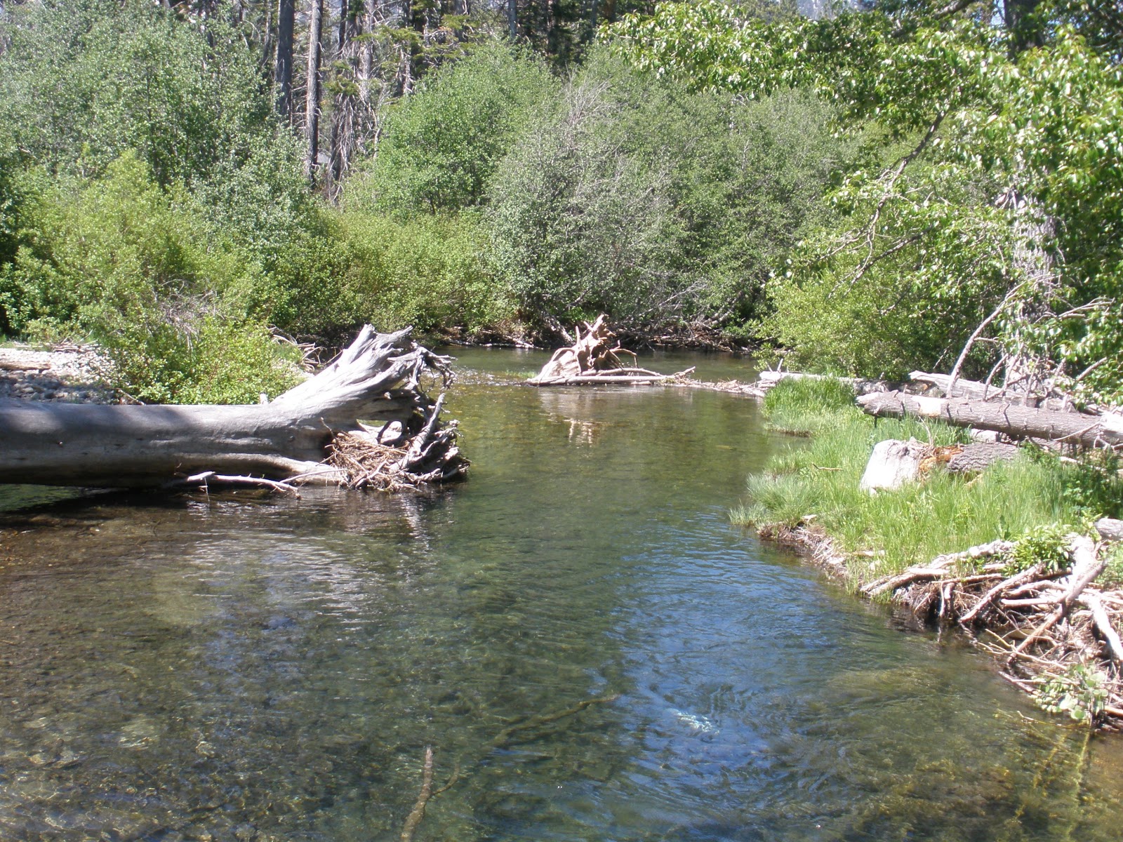 kathryn's blog Taylor Creek Lake Tahoe