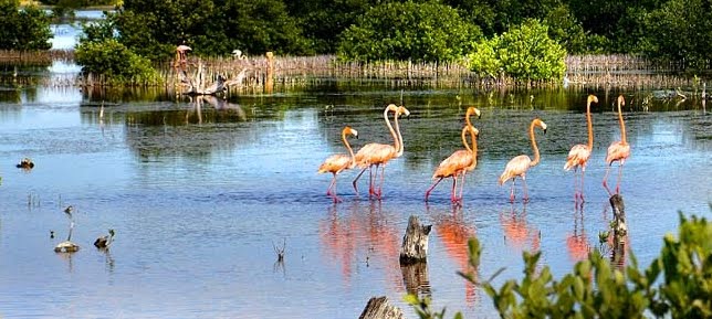 Messico Foto: le attrazioni della regione di Isla Arena di Calkini (Campeche).