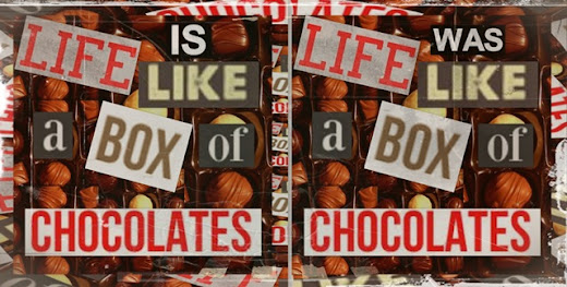 Flame24soul Blogspot Com Life Is Like A Box Of Chocolates Or Life Was Like A Box Of Chocolates A Quote From Forrest Gump Or Forest Gump Movie Mandela Effect