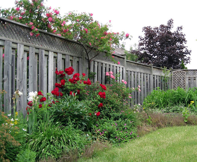 Sense and Simplicity: Three Tips for Landscaping a New Subdivision Garden