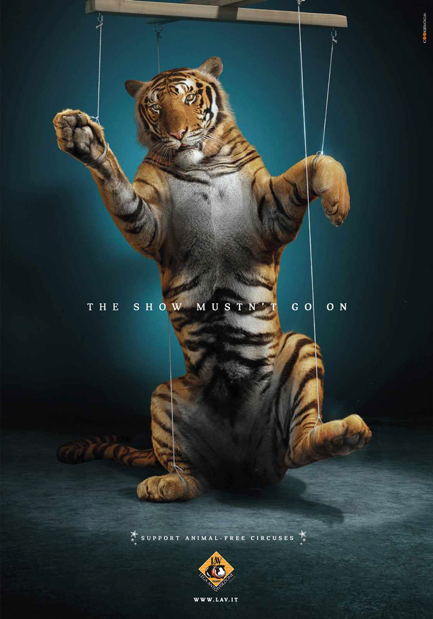 LAV: The Show Mustn’t Go On. Support Animal-free Circuses