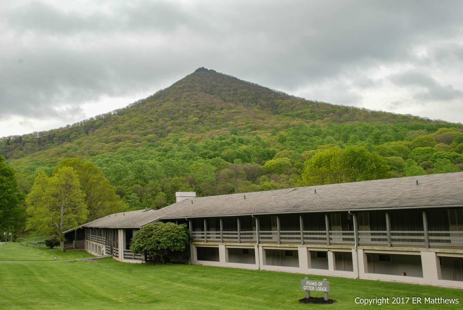 Forks in Our Road Peaks of Otter Lodge