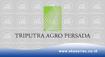 PT Triputra Agro Persada (TAP) Pekanbaru