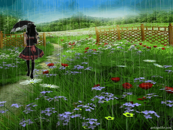 ok%2B-%2B495a241b4acd50aecd1000398f096b7