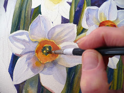 narcissus watercolor painting daffodils snow paintings oil flowers spring pushing crocus still there plenty imagine cold outside window studio