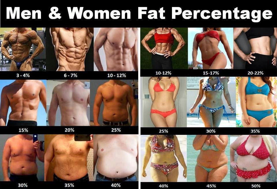 Us Navy Body Fat Percentage Chart