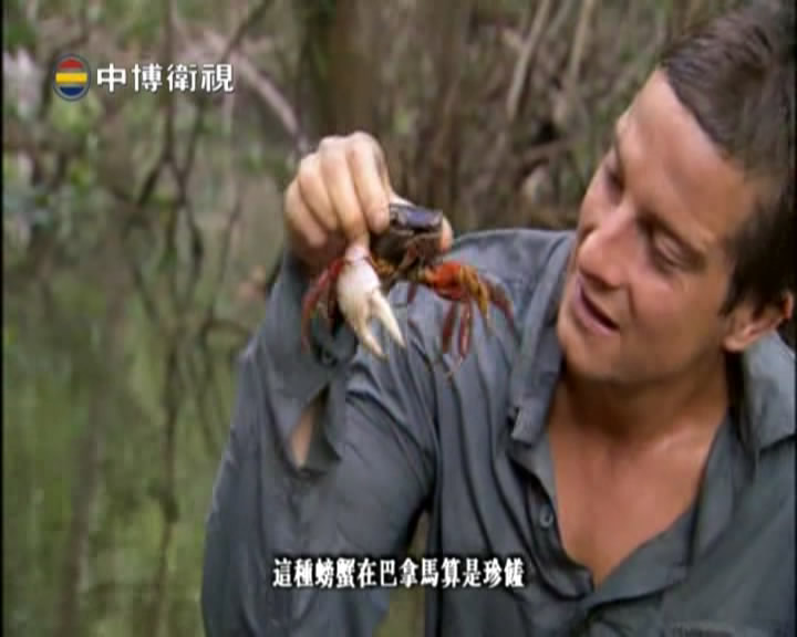 K Satheesh Sat English Man Vs Wild Program Avalbile Zbtv